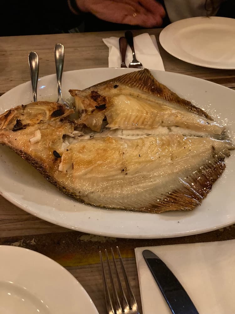 turbot